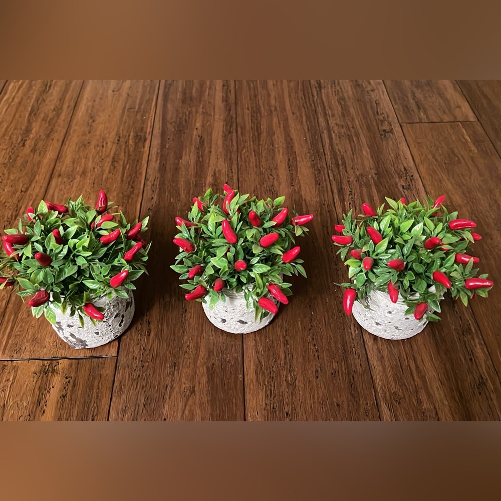 Artificial Red and Green Potted Plants